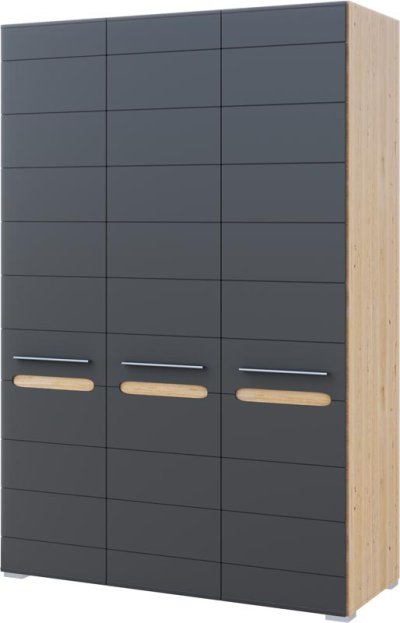 Шкаф 3Д Світ Меблів БЬЯНКО Графит